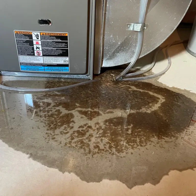 Appliance Leak Cleanup in Brownsville, PA